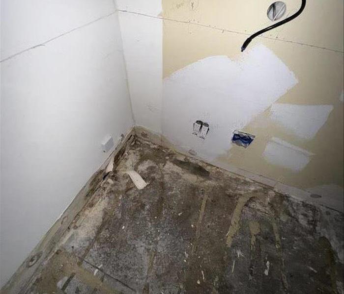 mold damaged wall