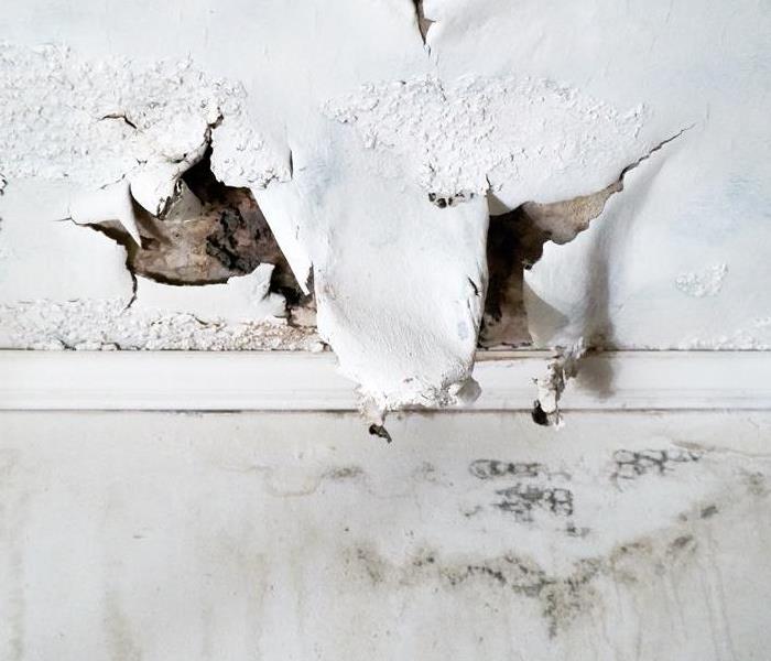 mold damage drywall