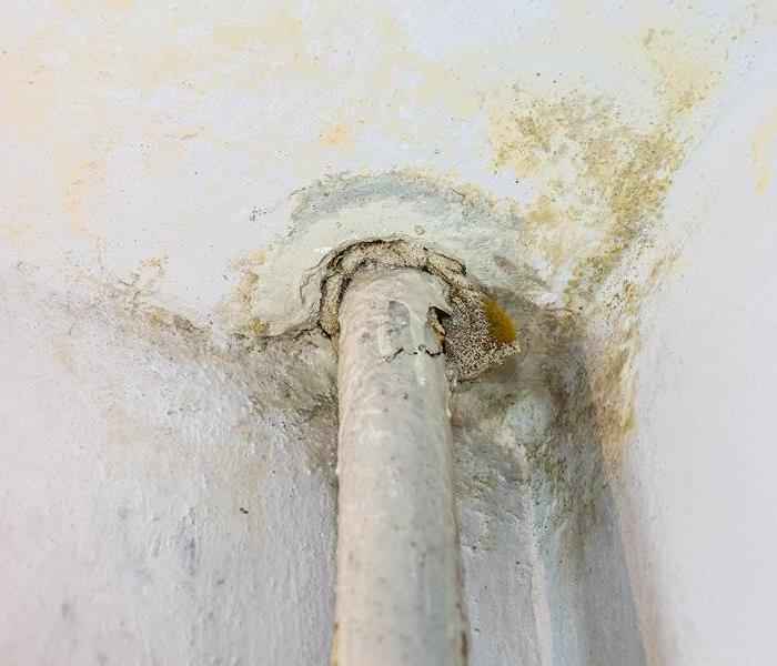 broken pipe and water damage